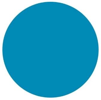 A light blue circle on a white background.