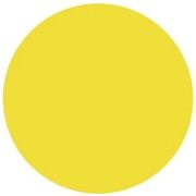 A cream color circle on a white background.