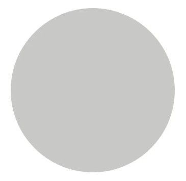 A graphite gray circle on a white background.