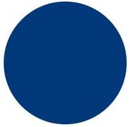 A traffic white circle on a white background.