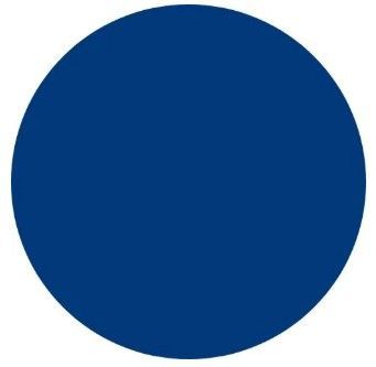 A traffic white circle on a white background.