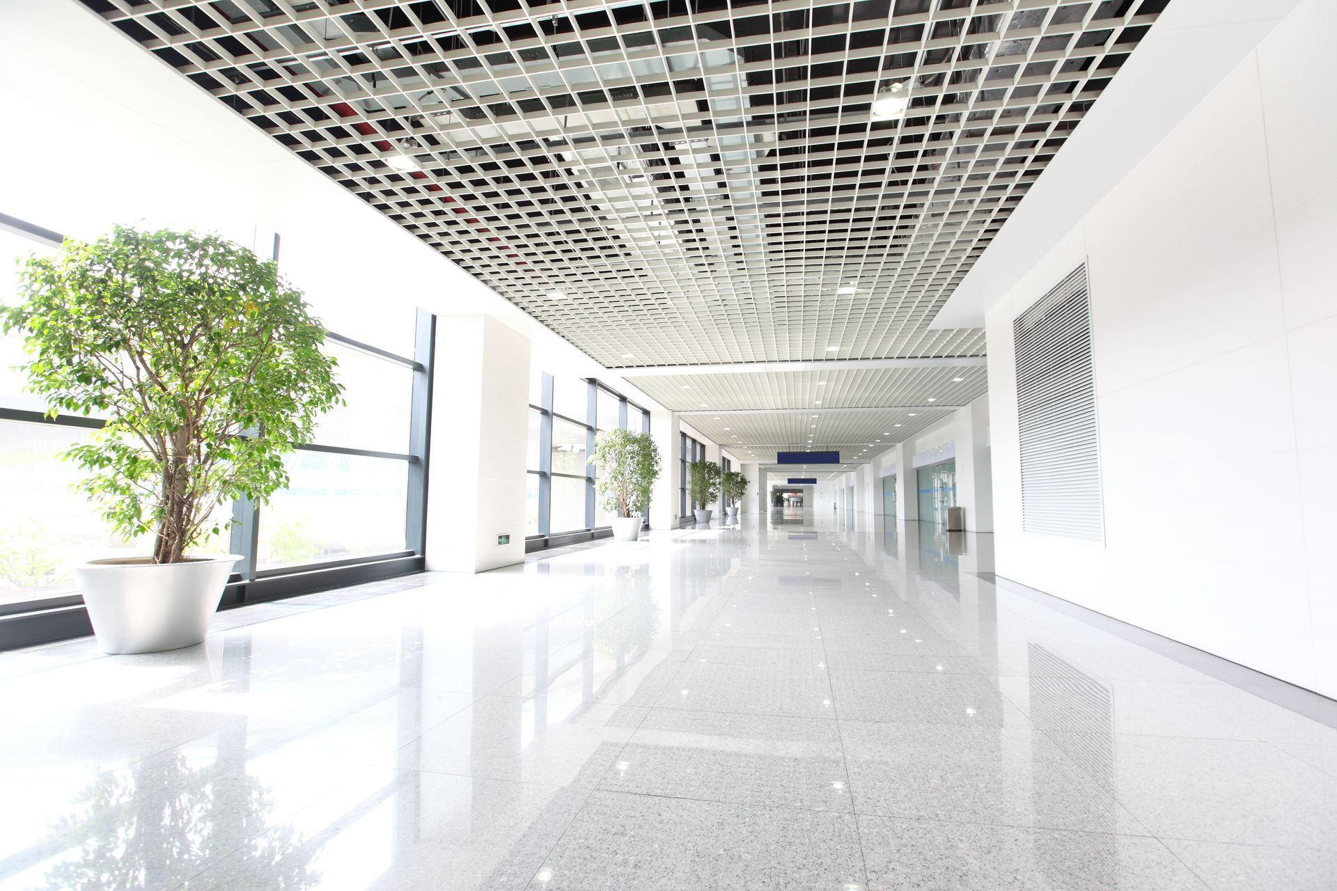 Bright, modern hallway with glossy floor, grid ceiling, large windows, potted trees, and abstract wall art.