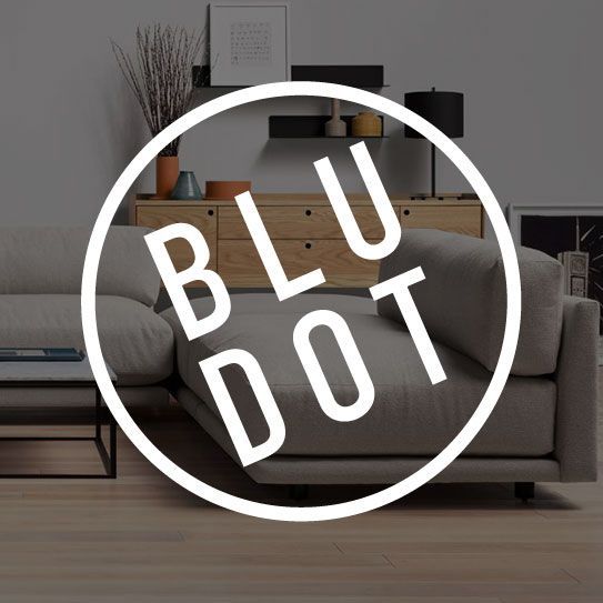 Blue circle with the word BLU DOT in white lettering.
