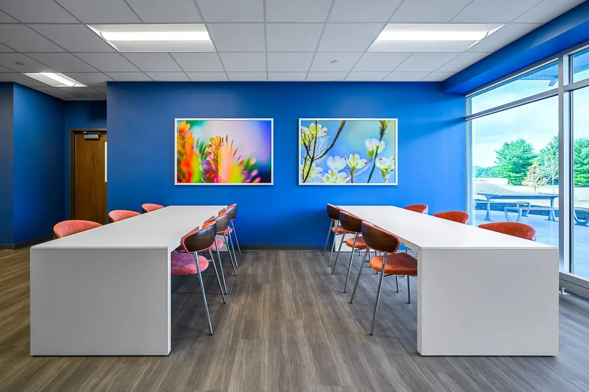 A brightly lit room with white tables, orange chairs, and blue walls, with colorful art and a view outside.