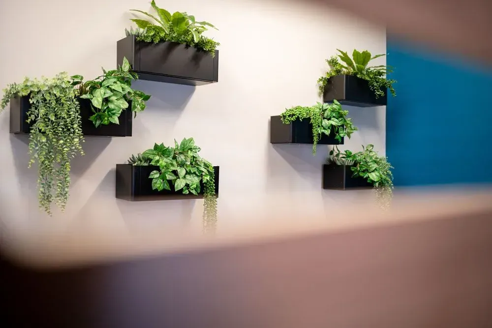 Black rectangular wall planters with green plants on a light gray wall.