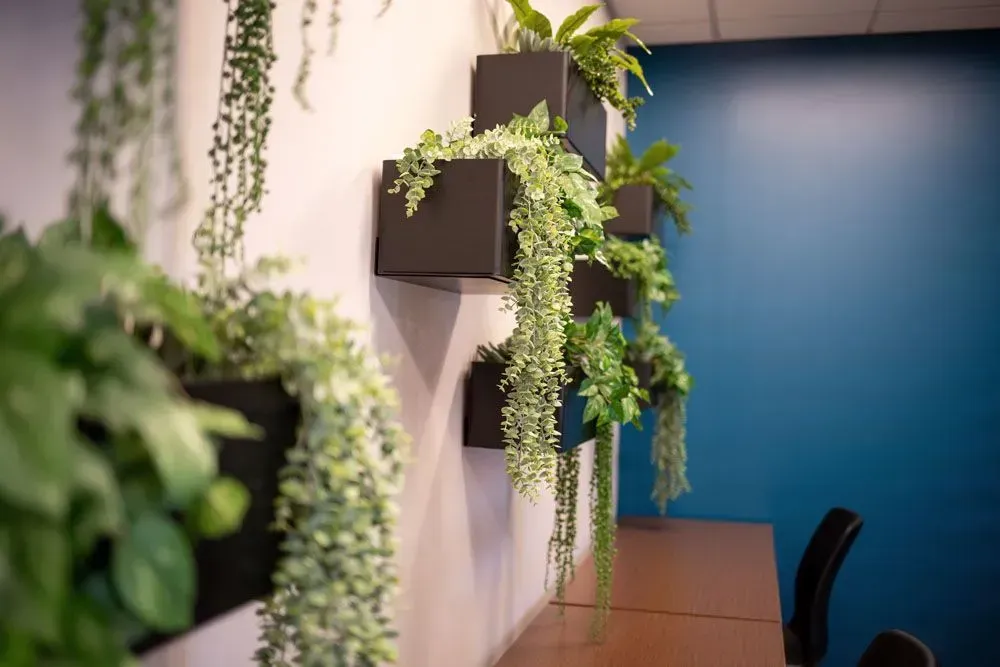 Wall with square planters, each holding trailing green plants; blue wall in the background.