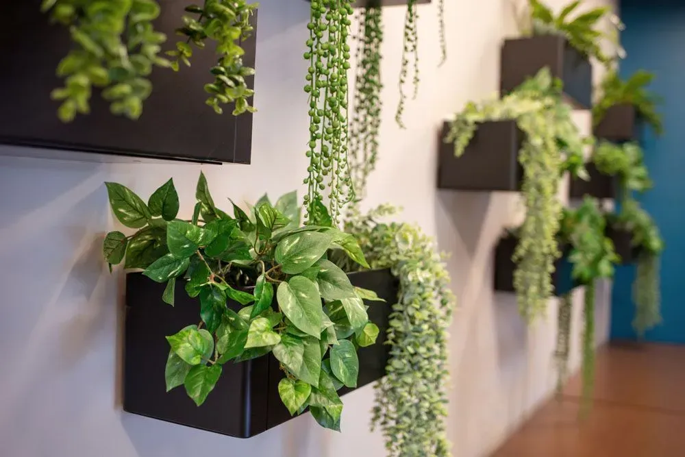 Black wall planters with various green plants on a light gray wall.