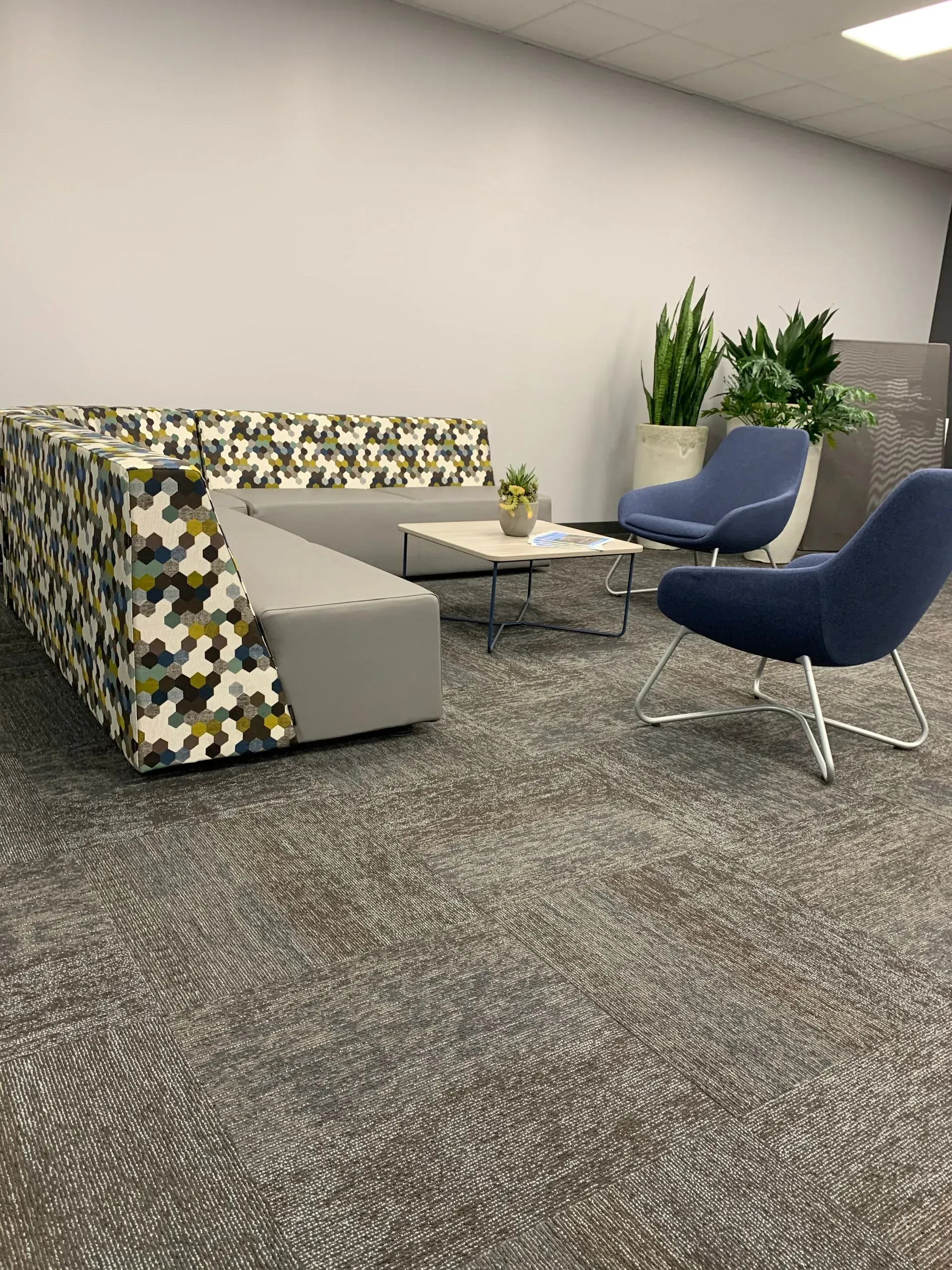 Lounge area with patterned sectional sofa, two blue chairs, small table, potted plants, and gray carpet.