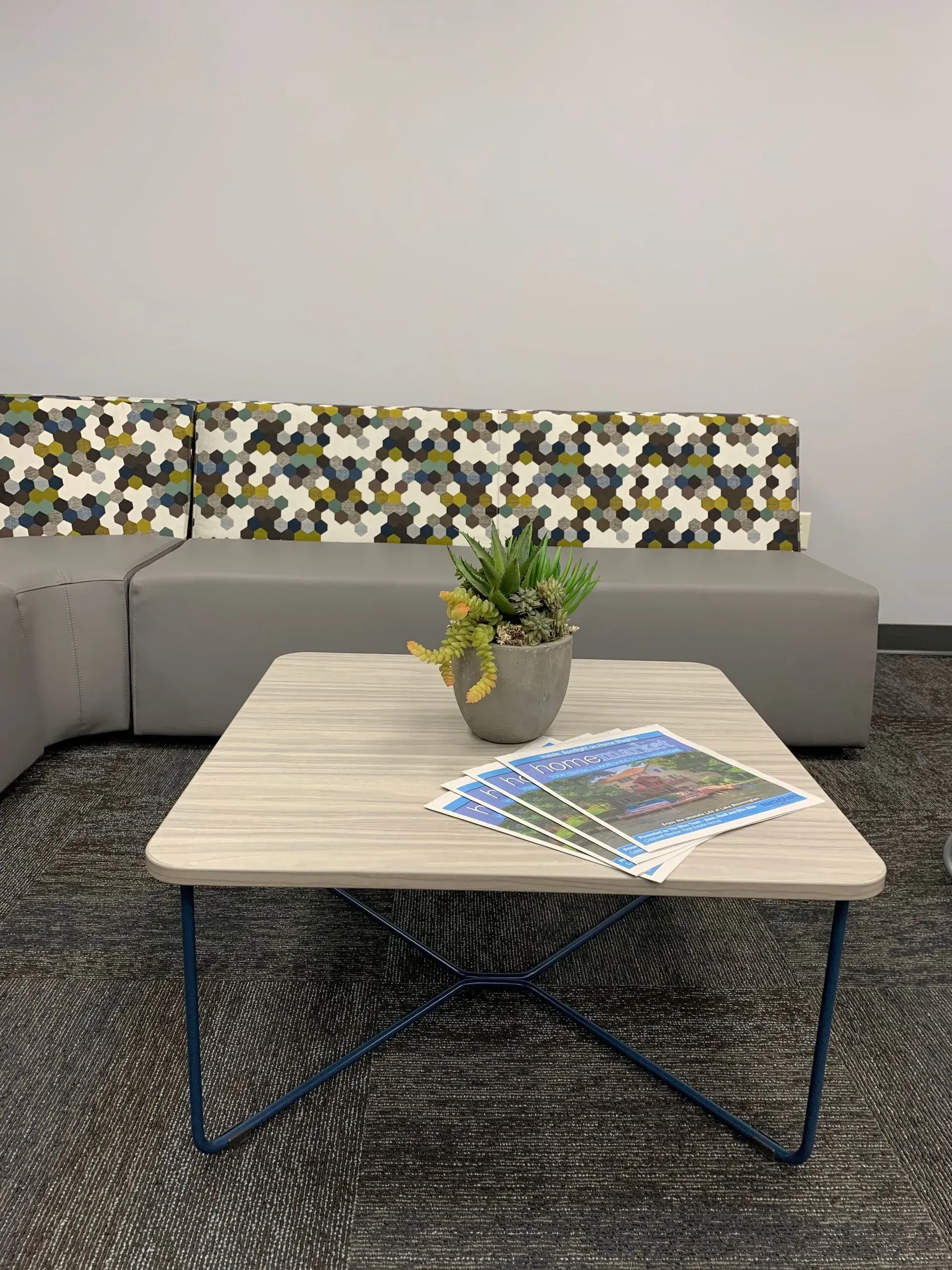 Coffee table with a plant and magazines in front of a gray couch with patterned backrests.