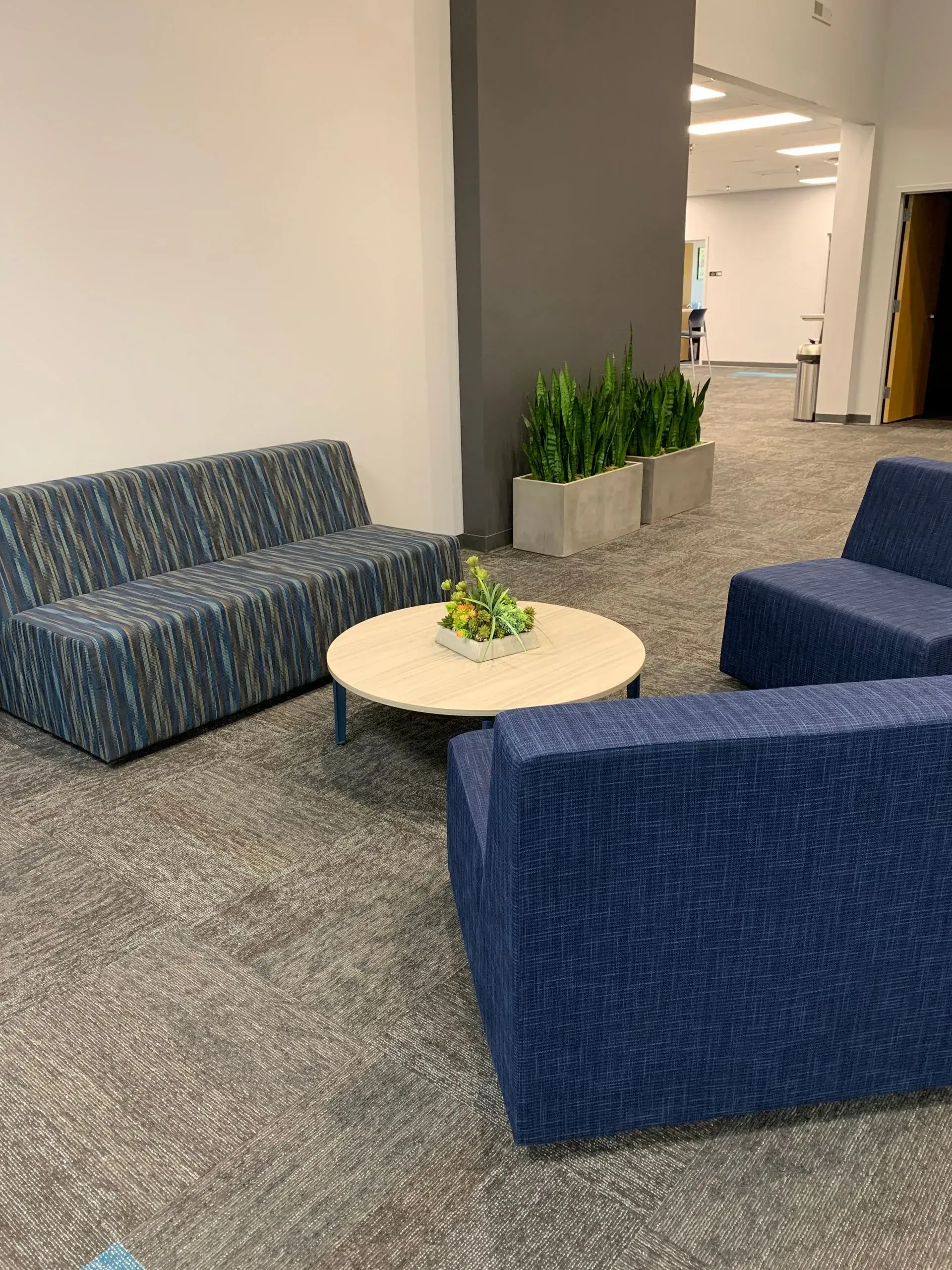 Lounge area with blue and gray furniture, round table, and plants in a modern office space.