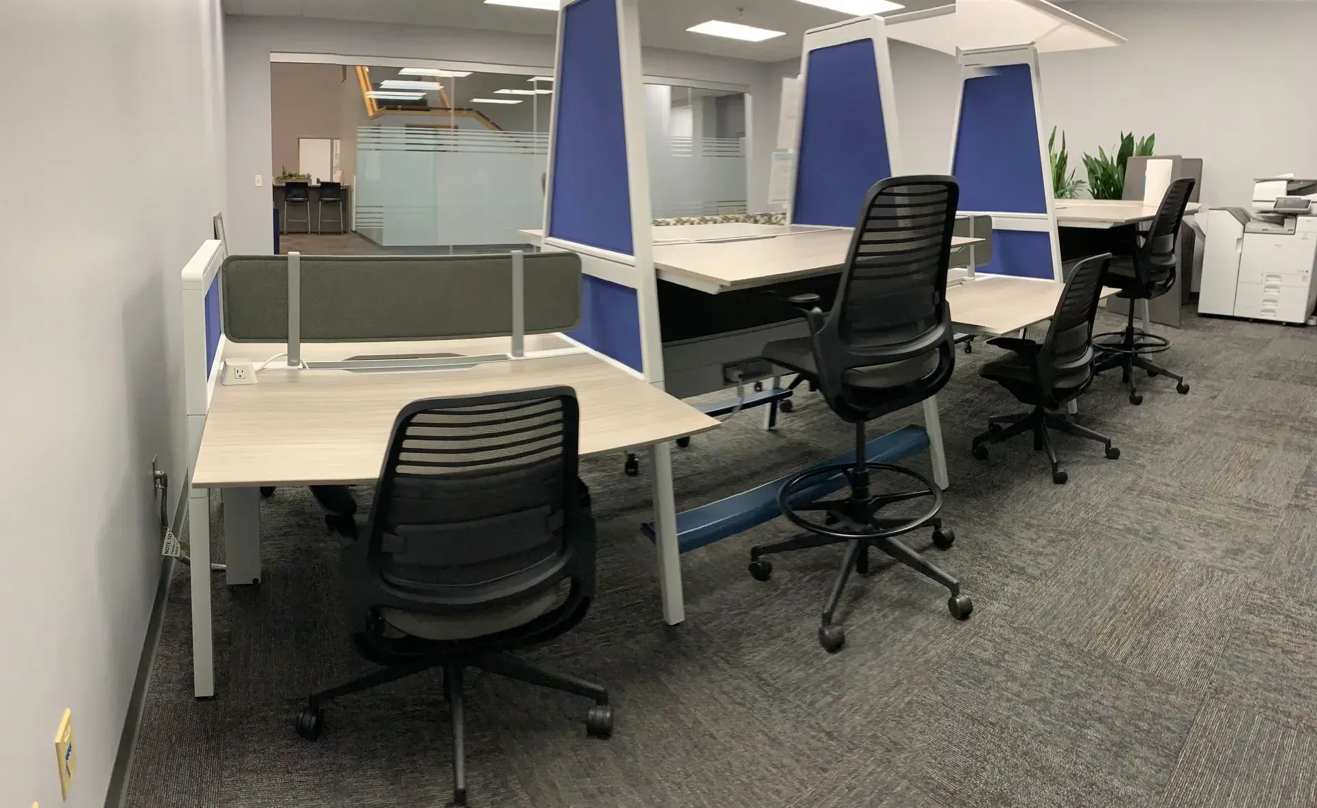 Empty office cubicles with black rolling chairs, gray carpet, and blue and gray dividers.