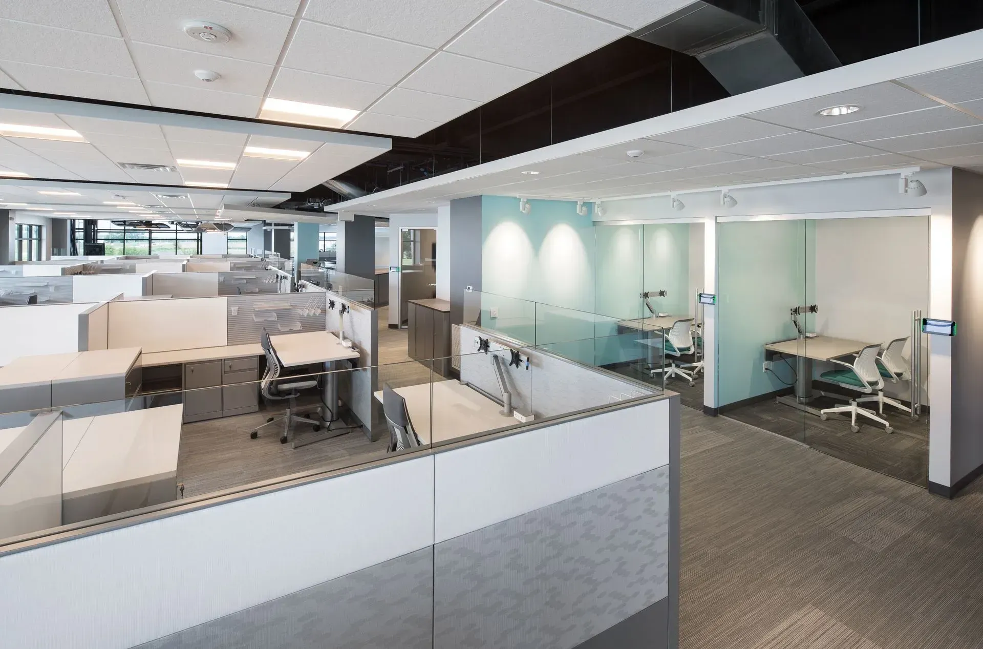Office interior with rows of cubicles and private work areas, gray carpet, and white ceiling tiles.