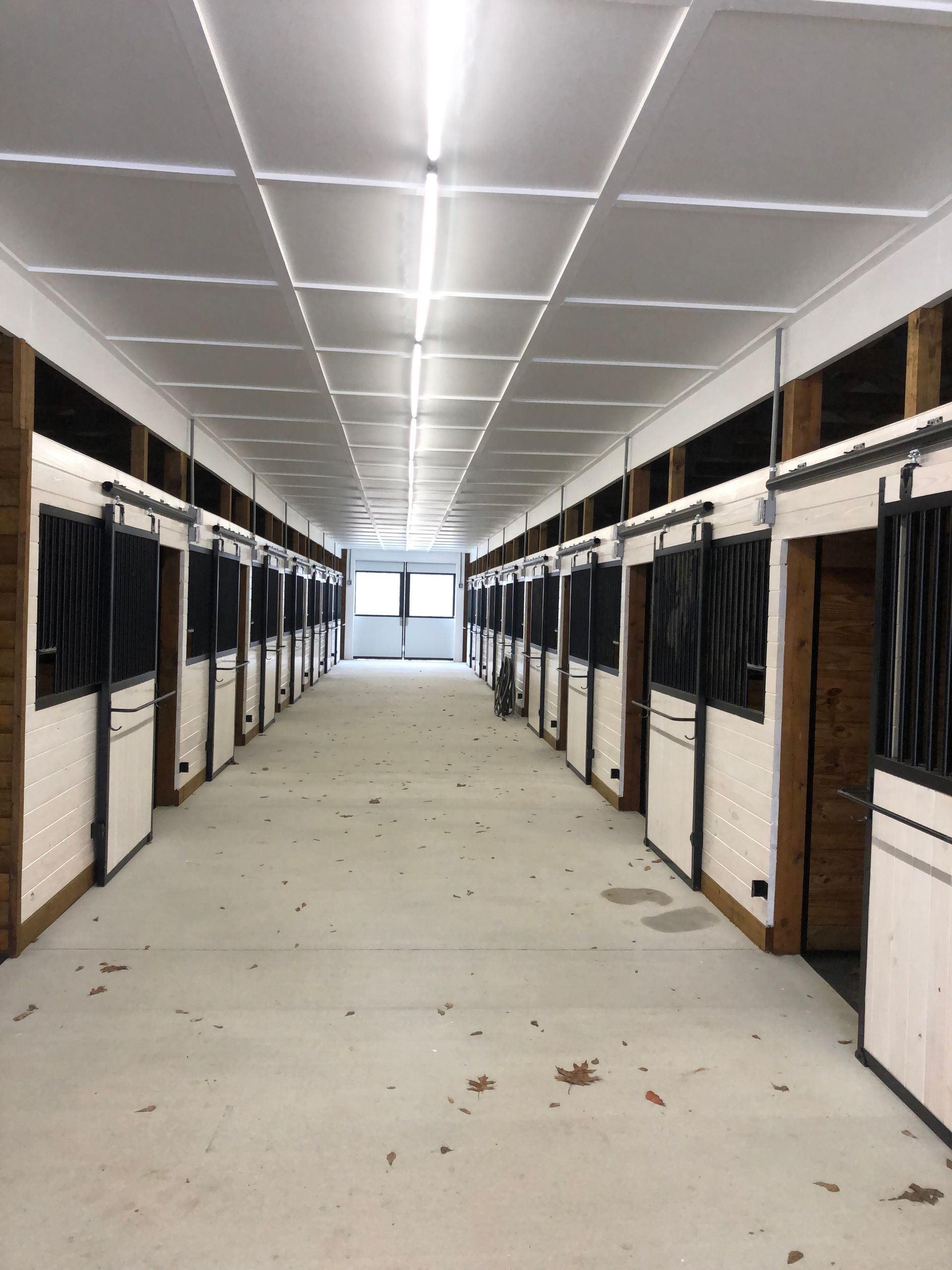 Horse stable aisle with stalls on either side, lit by fluorescent lights in the ceiling.