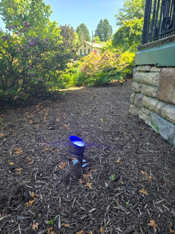 Blue garden sprinkler in mulch beside a house, with shrubs and a sunlit yard in the background