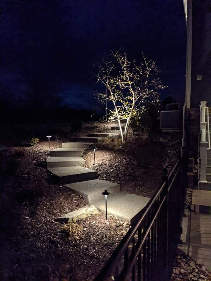 Nighttime garden path lit by ground lights, with stone steps, shrubs, and a small tree beside a railing