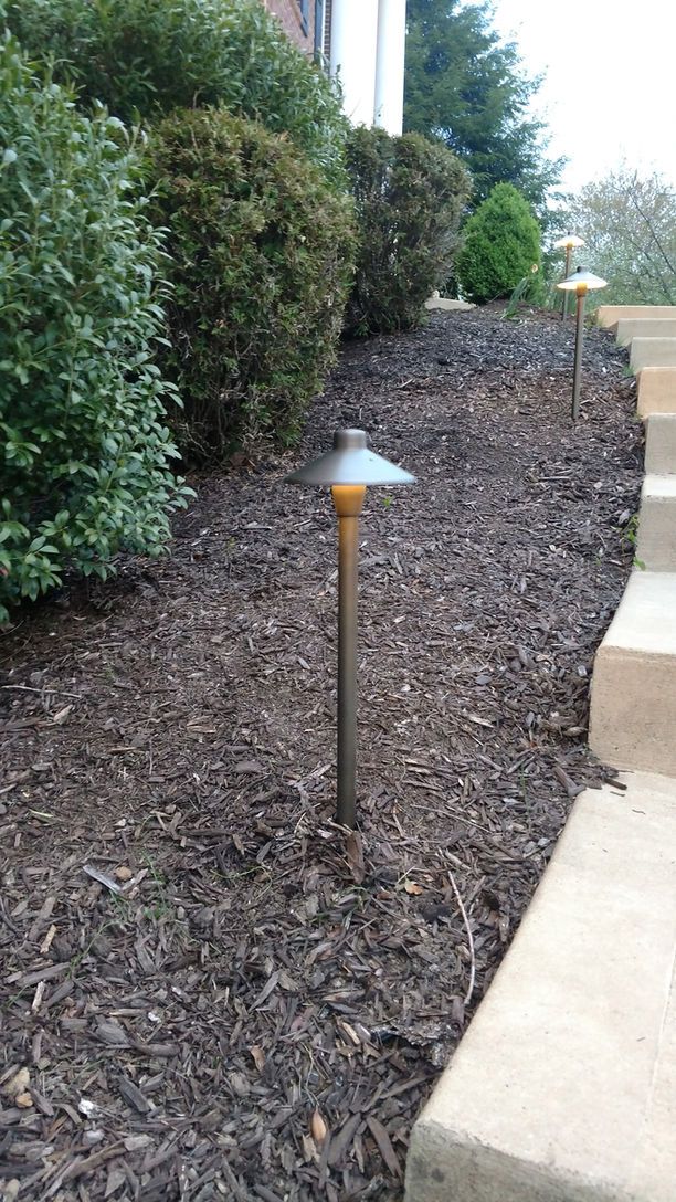 Small landscape path light in a mulched garden bed beside shrubs and a concrete walkway.