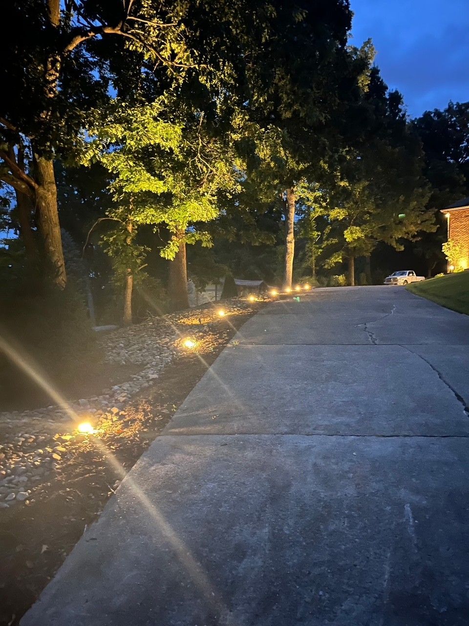 Night-lit garden path with small ground lights beside trees and a curved concrete walkway.