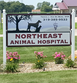 Northeast Animal Hospital