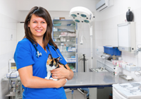 Veterinary doctor