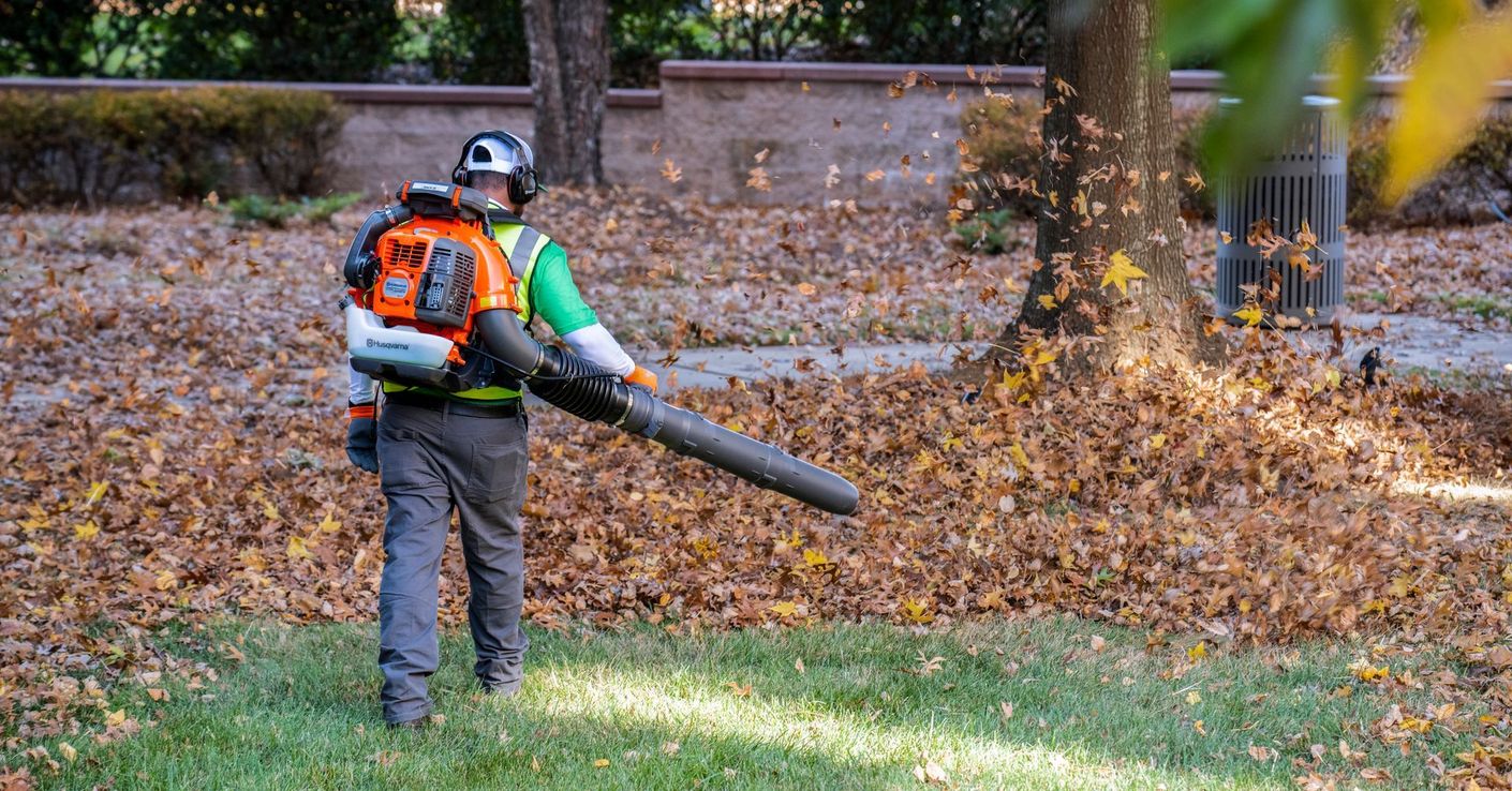 A man is using a leaf blower to clear leaves from the lawn in front of a tree.