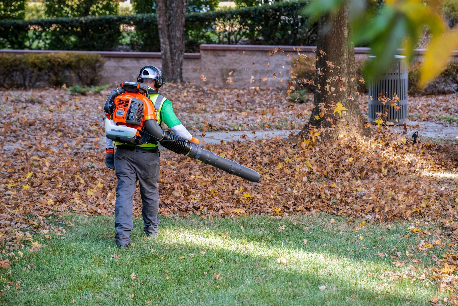 Man using a leaf blower to clear fallen leaves from a lawn near a tree.