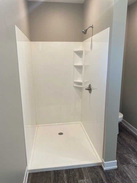 a bathroom with a walk-in shower and a toilet