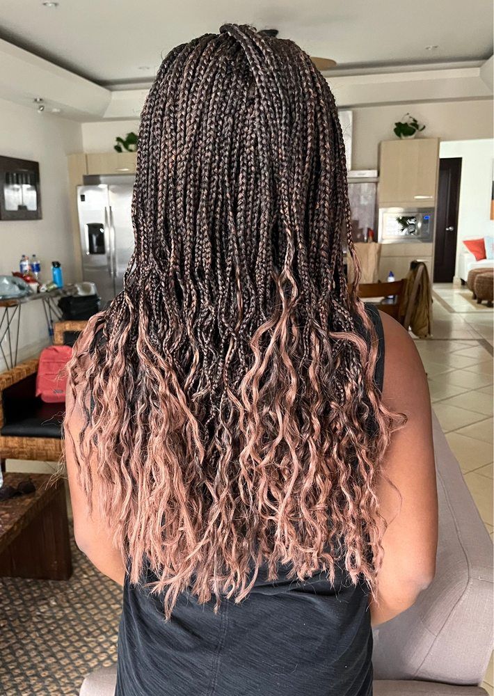 Back view of long braided hair with pink ombré ends in a living room.