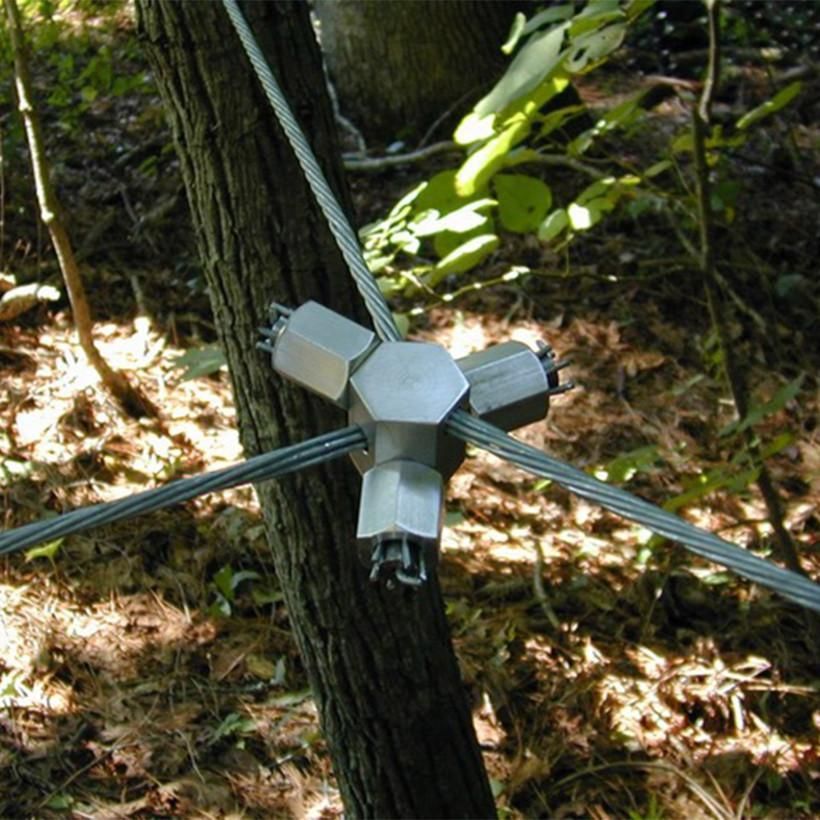 Metal cable clamp around a tree trunk with several taut wires extending outward in a wooded area