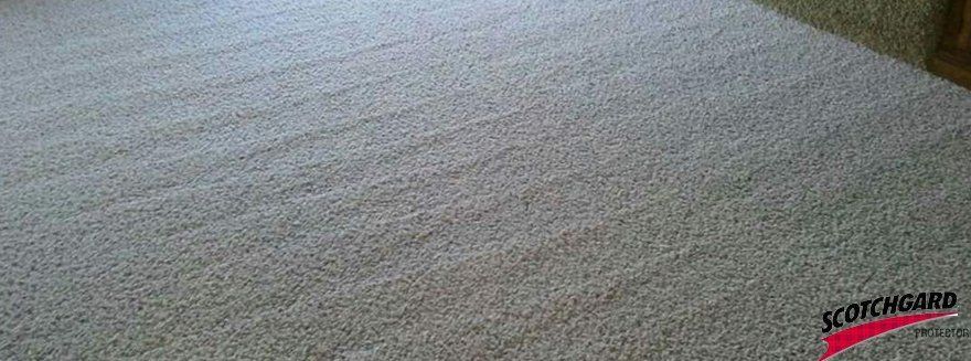 Carpet