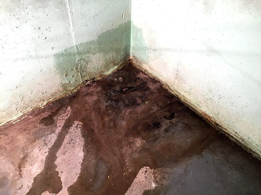 Advanced Foundation Crack Repair