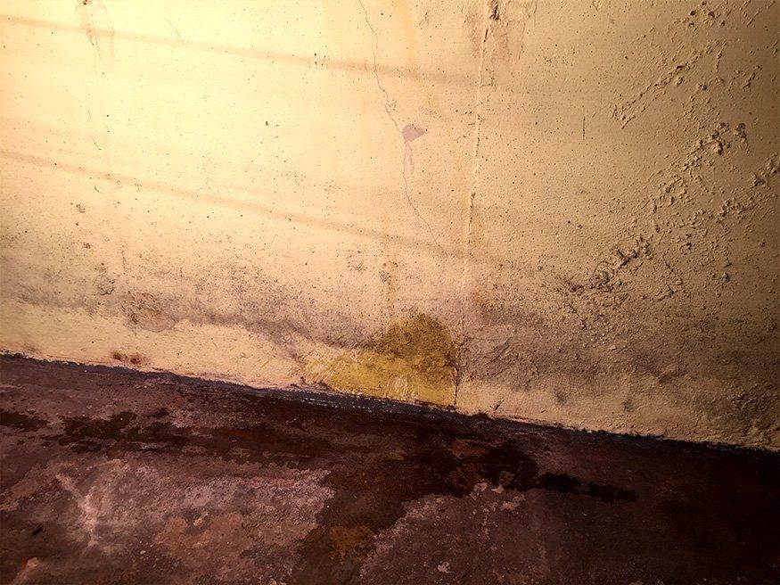 Advanced Foundation Crack Repair