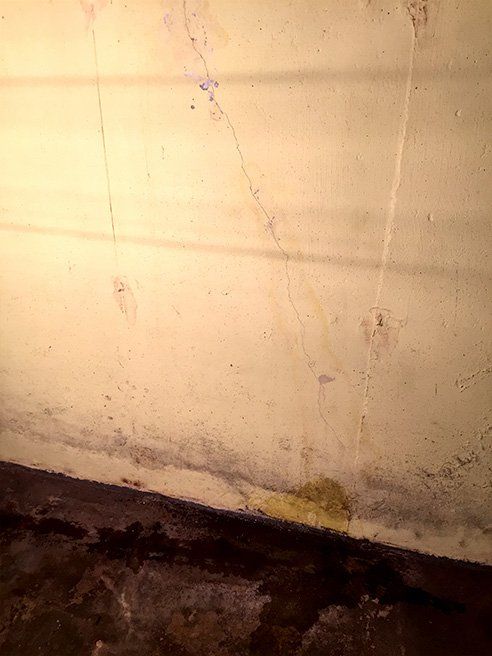 Advanced Foundation Crack Repair