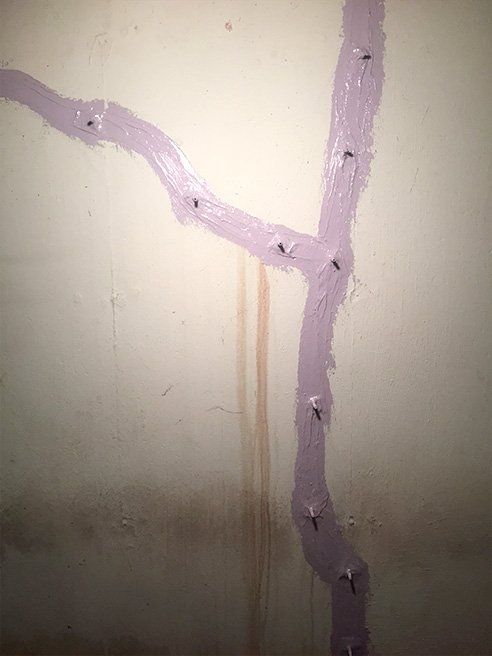 Advanced Foundation Crack Repair