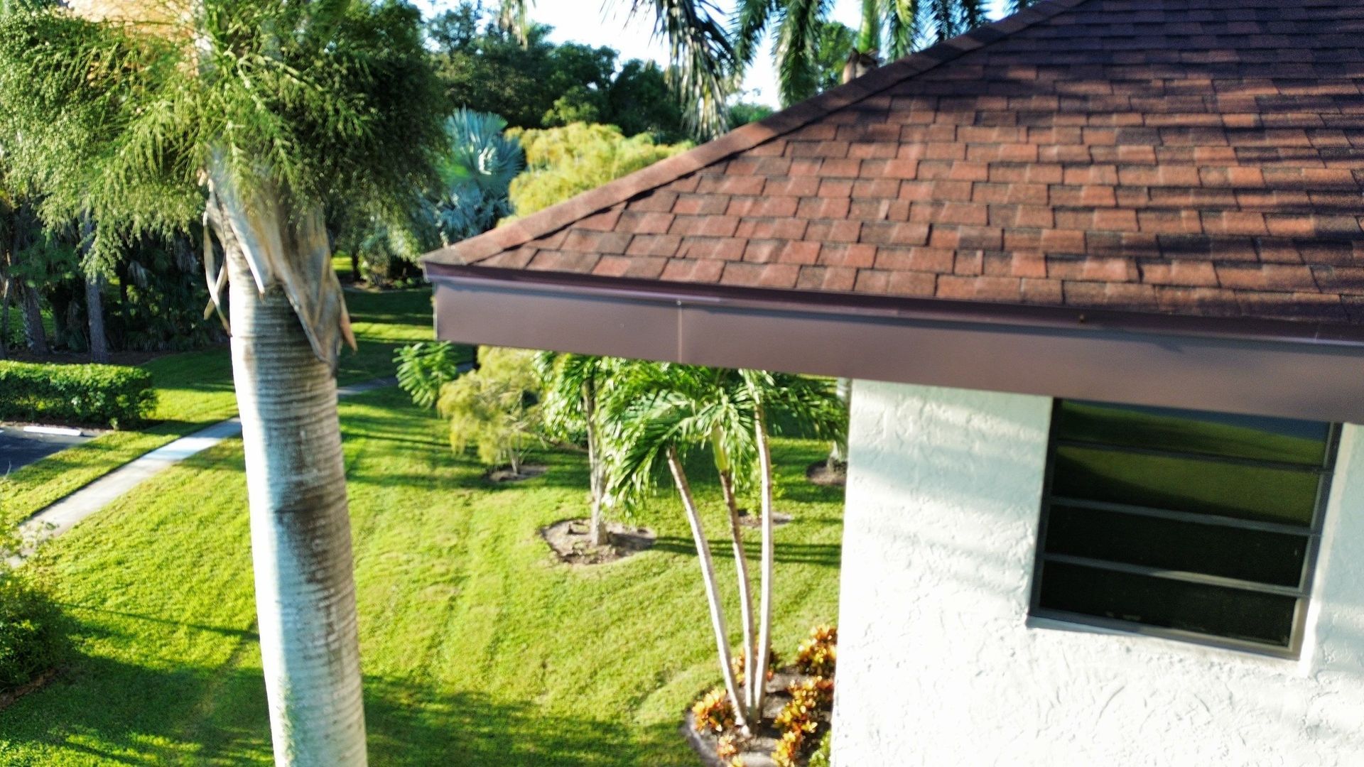 Tropical yard beside a white house with a brown shingled roof and palm trees in bright sunlight