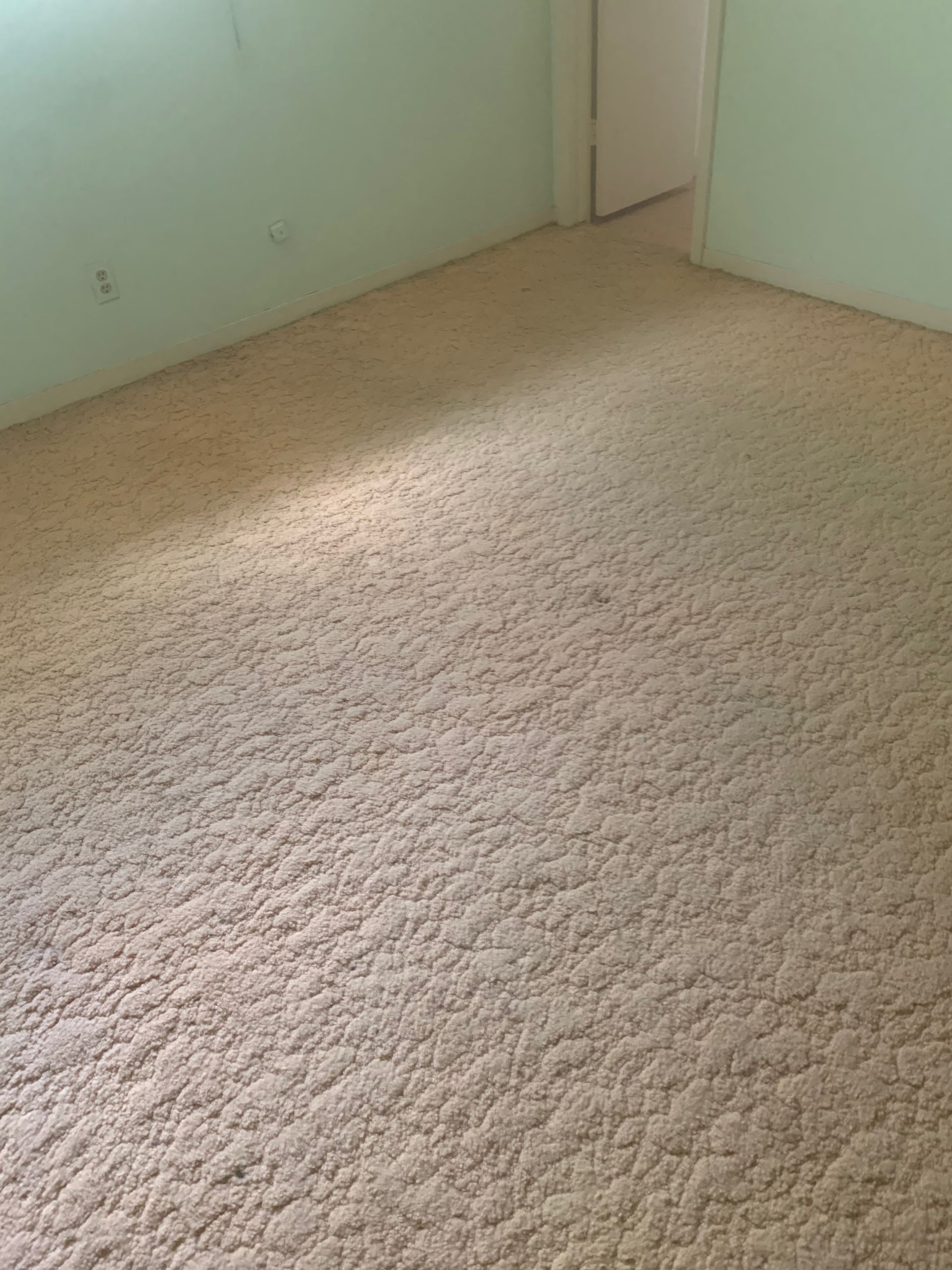 A bedroom with a beige carpet and green walls.
