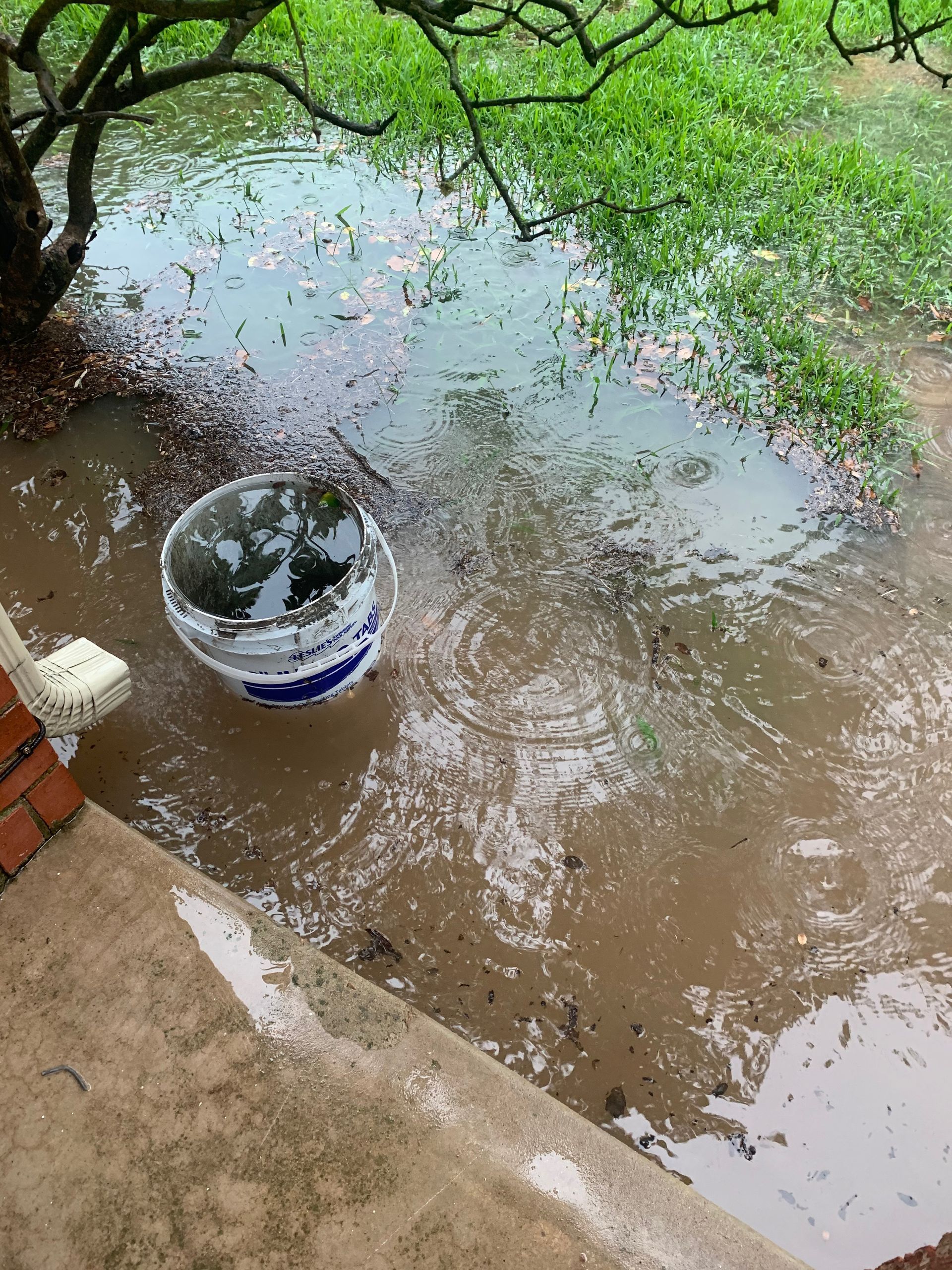 A bucket is floating in a puddle of water.
