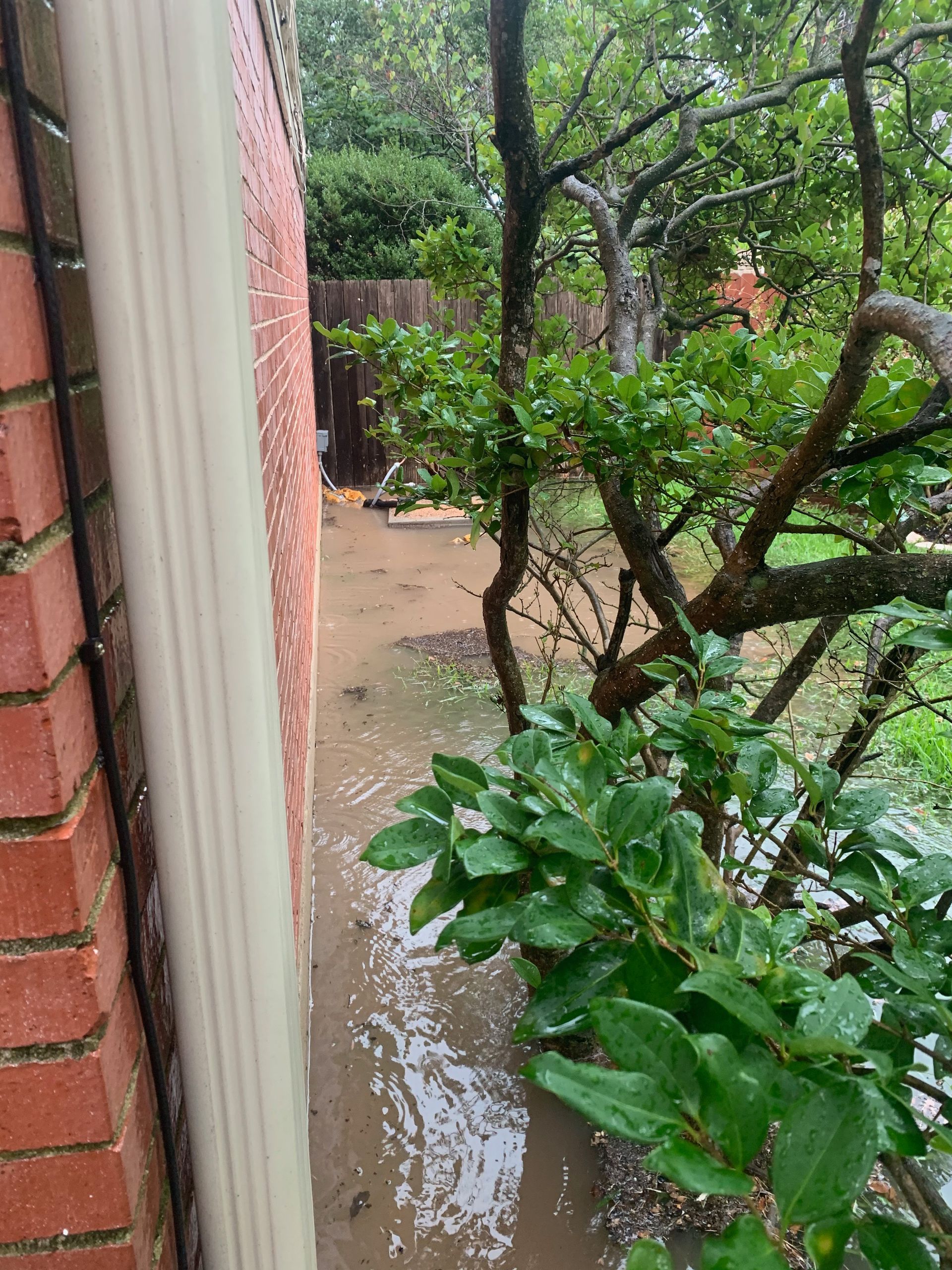 A brick building with a tree in the foreground and a flooded yard in the background.