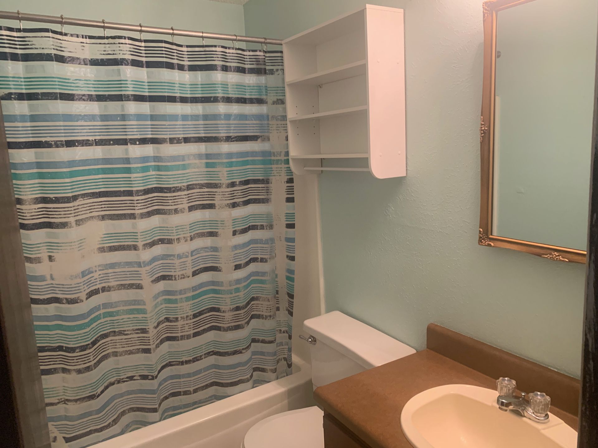 A bathroom with a toilet, sink, shower curtain, and mirror.