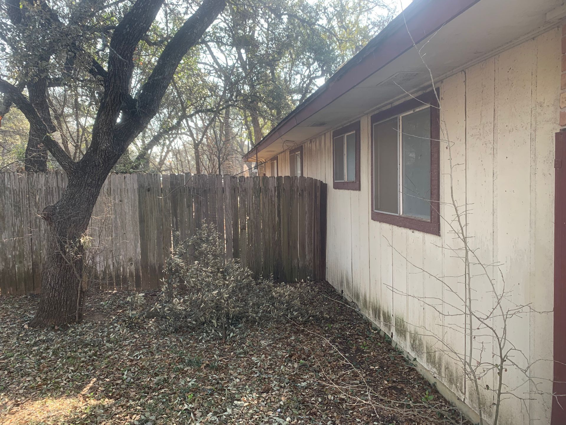 A house with a fence and a tree in front of it.