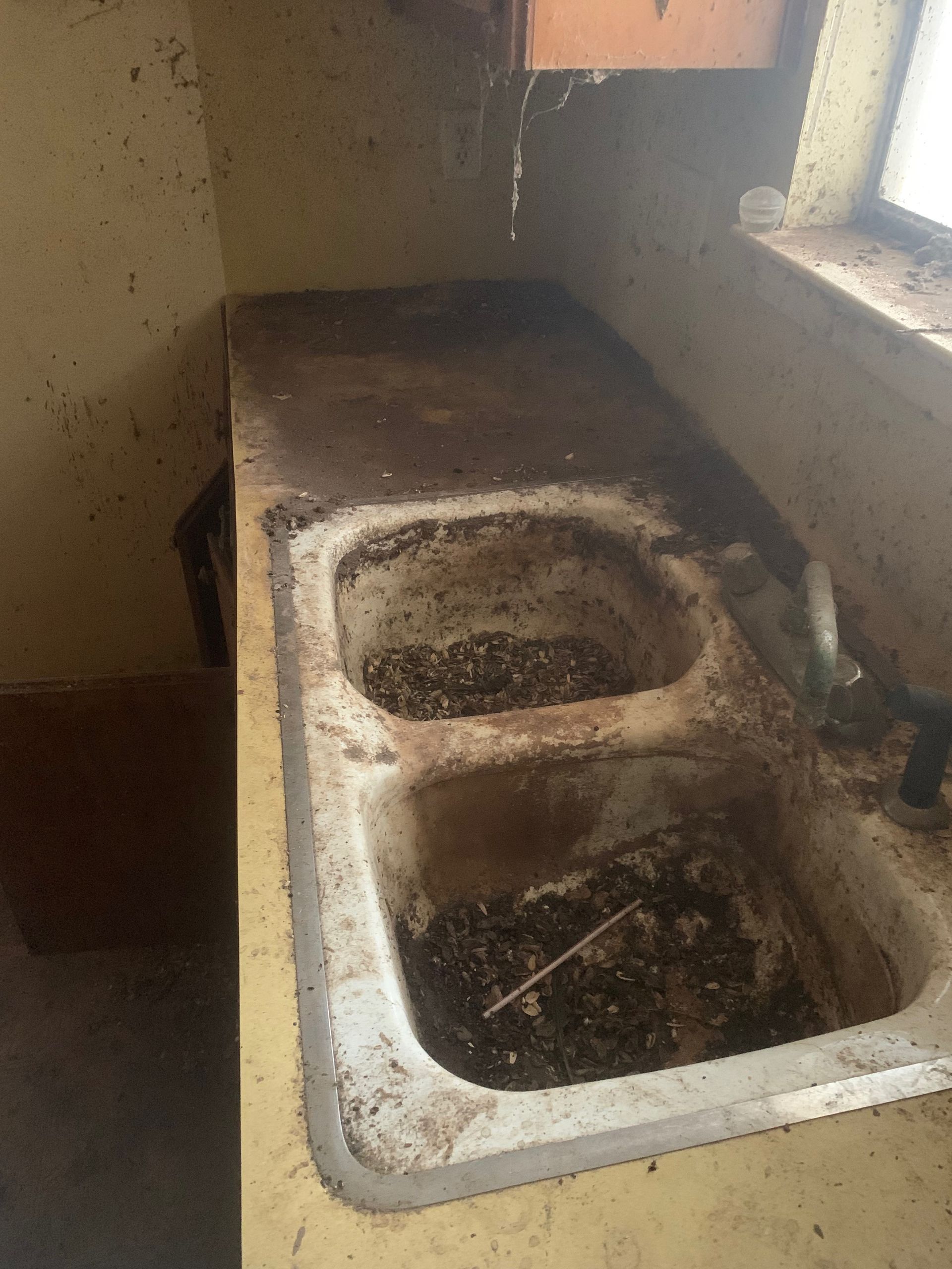 A dirty kitchen sink with a window in the background.