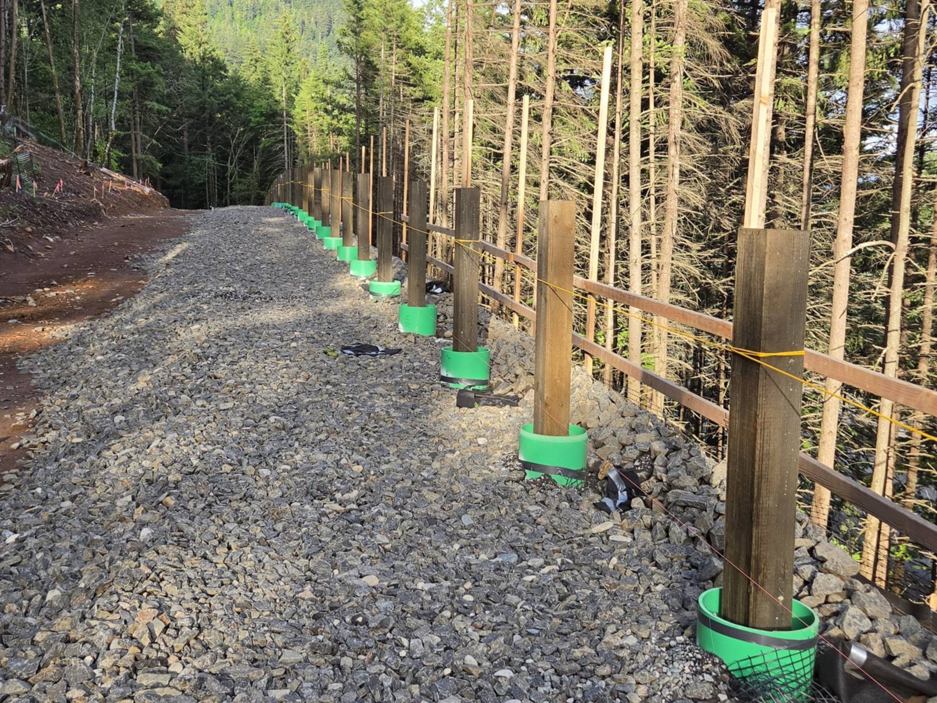 Gravel path with evenly spaced wooden posts in green bases beside a forested slope and fence line
