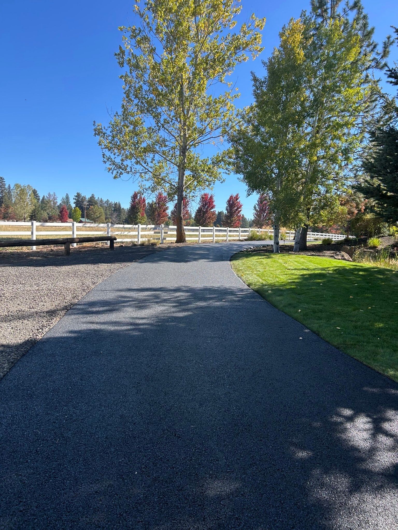 Gravel path in a sunny park with trees, grass, and a wooden fence under a clear blue sky