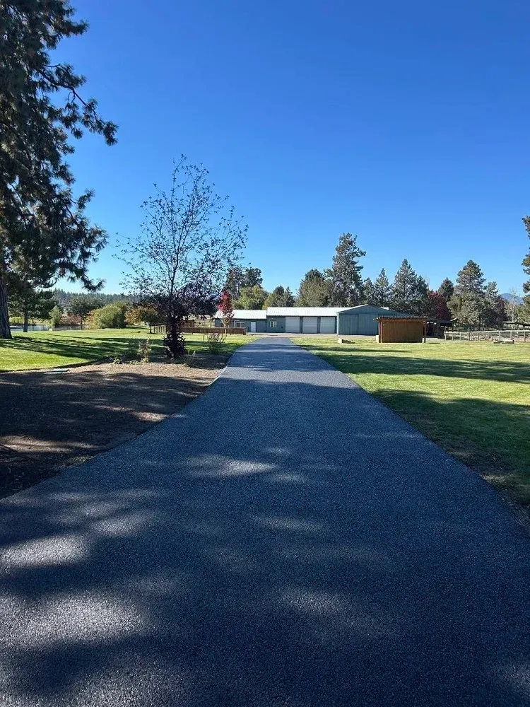 Paved driveway leading to a white house and trees under a clear blue sky in a sunny yard