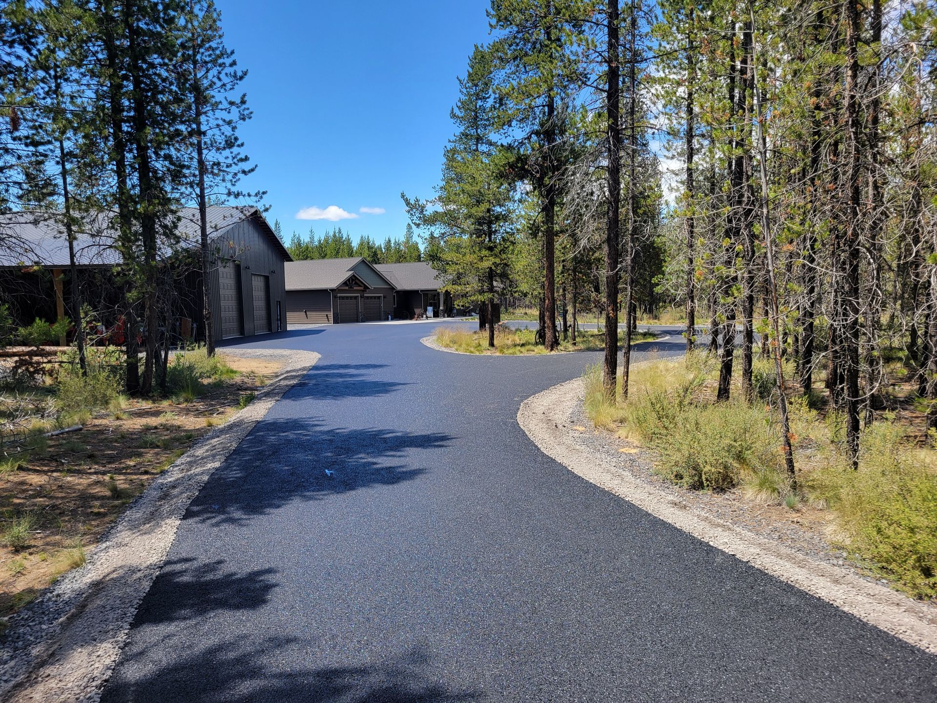 Gravel driveway leading to modern cabins through a pine forest on a sunny day