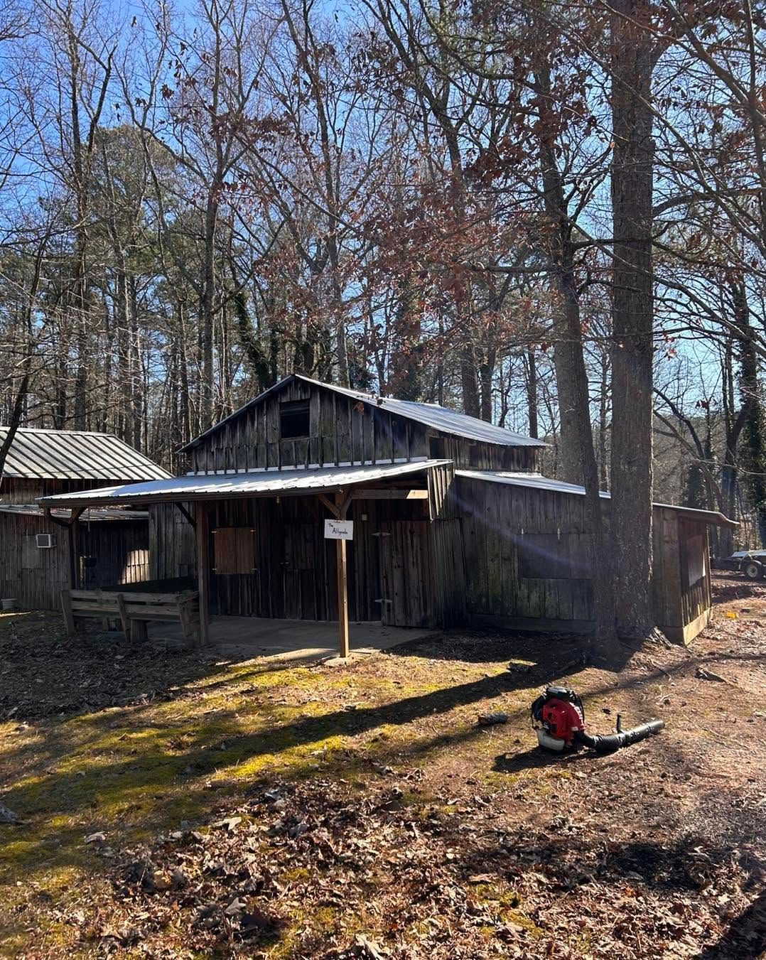 Old weathered cabin in a wooded yard with bare trees and a red lawn tool in front