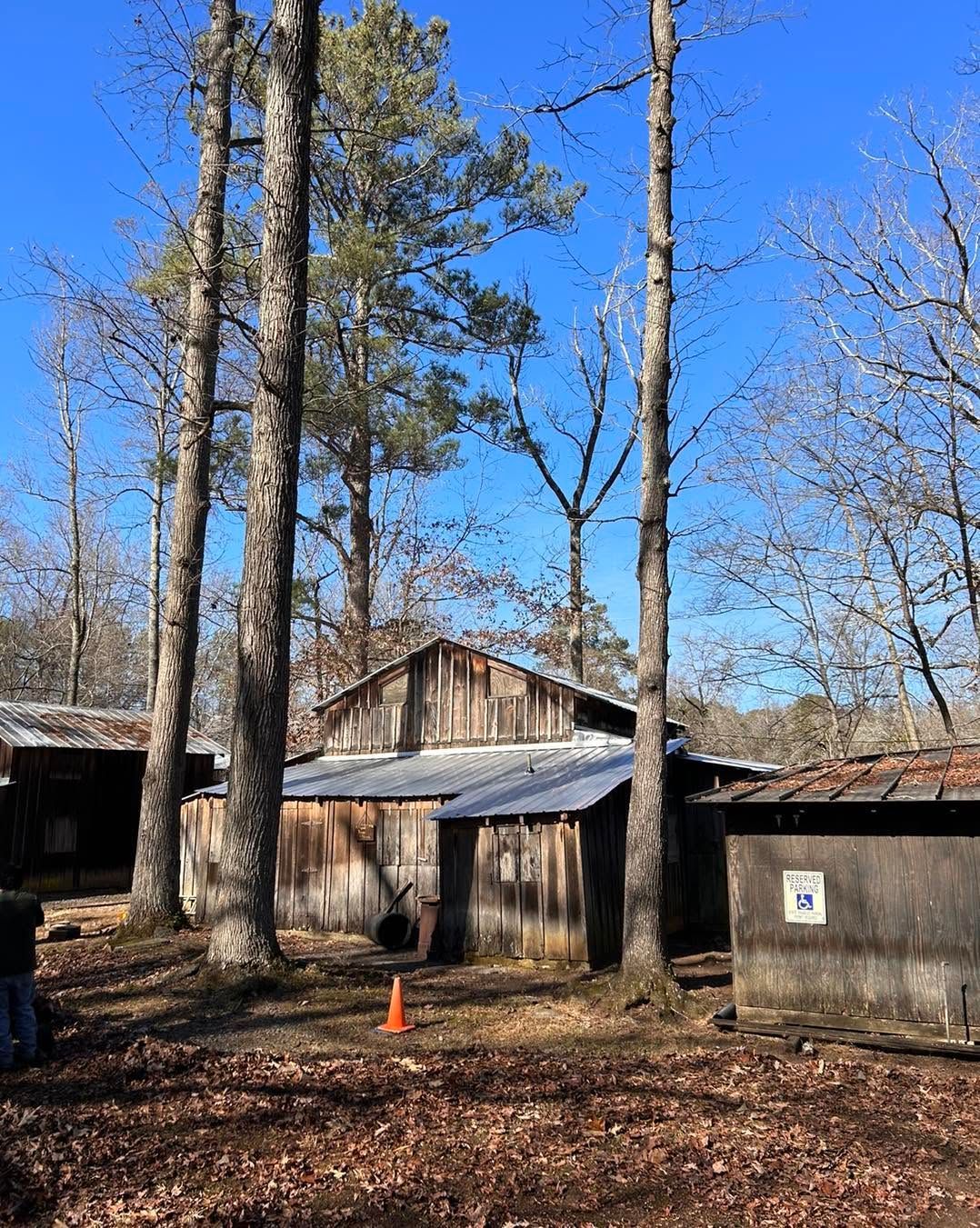 Rustic wooden cabins in a leaf-covered wooded area under a clear blue sky
