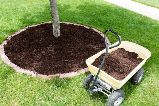 Waterloo Mulch And Soil Content Company 01 558w 