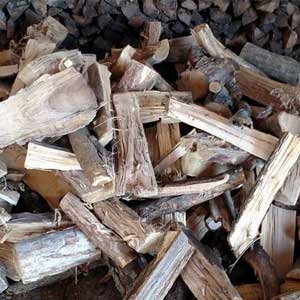 Firewood Pickup