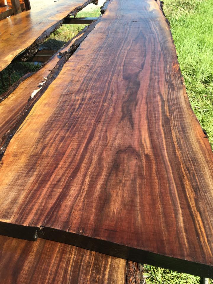 A long piece of wood is sitting on top of a lush green field.