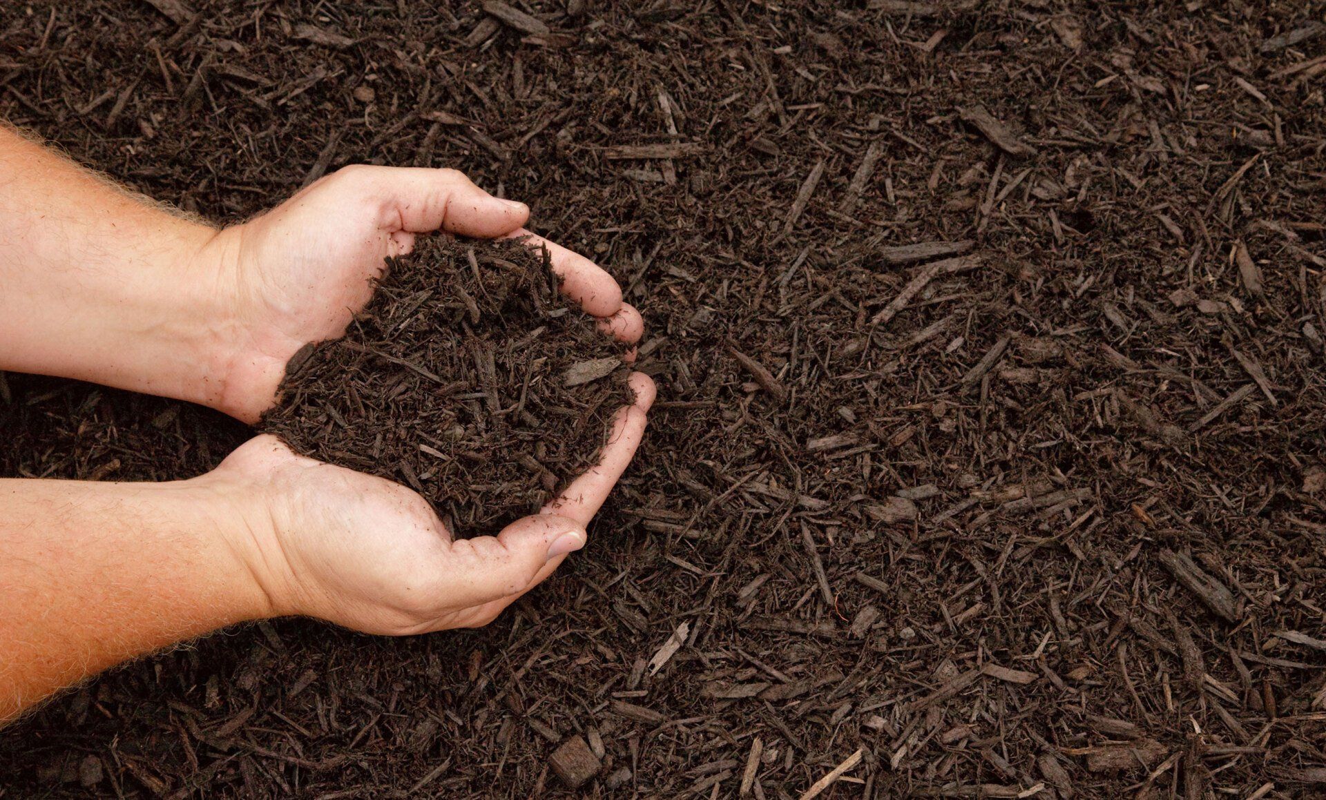mulch